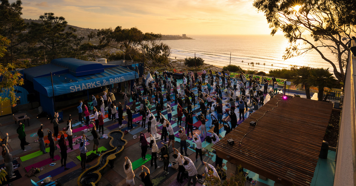 Large group of students doing yoga poses next to beach