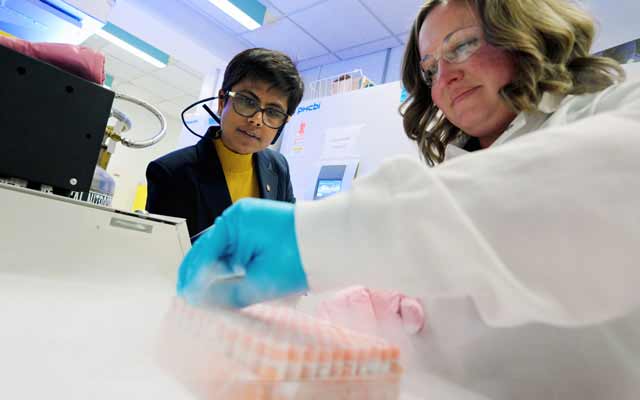 What if we could test new treatments before they ever reach a patient?